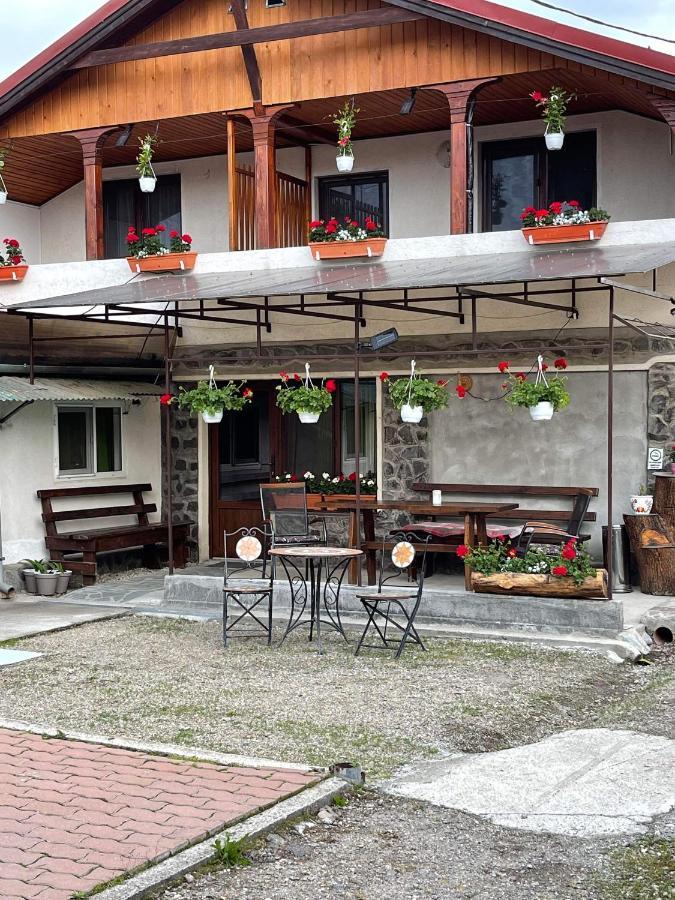 Gyongyver Panzio Sfântu-Gheorghe Extérieur photo