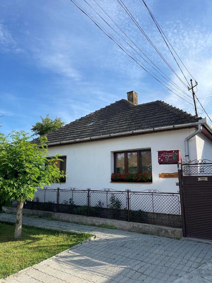 Gyongyver Panzio Sfântu-Gheorghe Extérieur photo